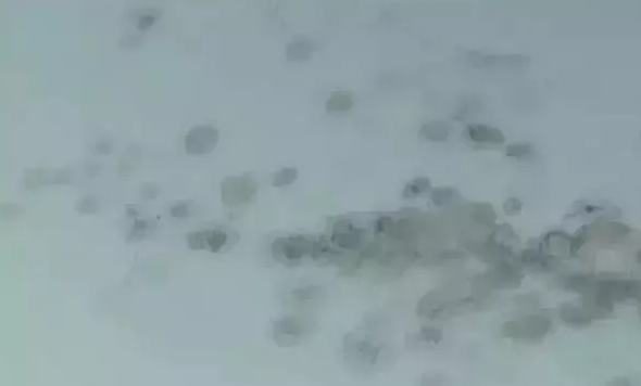 墙壁渗水